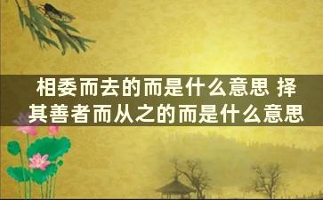 相委而去的而是什么意思 择其善者而从之的而是什么意思